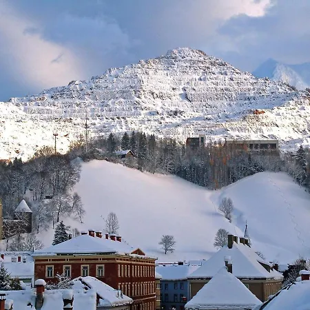 Praebichl With Wellness Area *